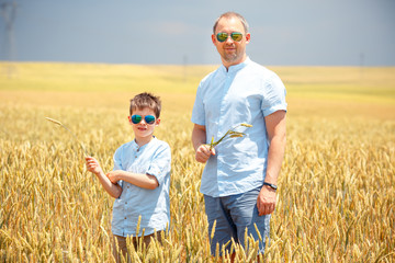 Naklejka na ściany i meble Happy father with little son walking happily in wheat field