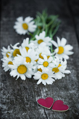 Obraz premium Beautiful fresh daisies decorated with hearts on wooden texture