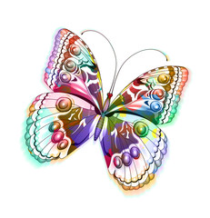 Colorful  isolated butterfly. Vector illustration, EPS 10