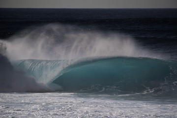 Backlit wave at the Banzai Pipeline