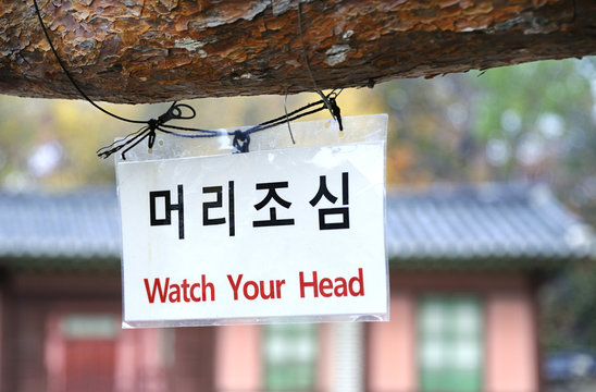 Watch your head