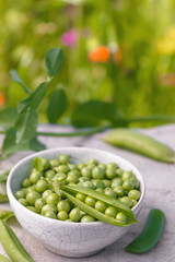 Bowl of fresh green peas outdoor