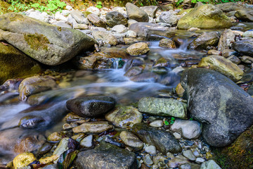 The mountain river, Sochi, Russia.
