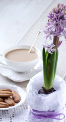 Blossoming hyacinth on the table and a Cup of coffee