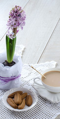 Blossoming hyacinth on the table and a Cup of coffee