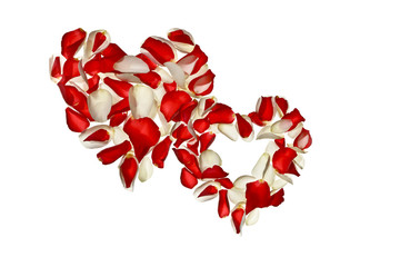 Fototapeta na wymiar Dwa serca z czerwonych i białych płatków róż na białym tle.Walentynki