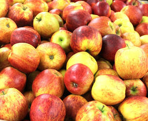 pommes jonagored