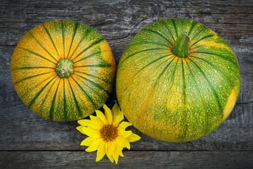Freshly picked pumpkins with sun flower
