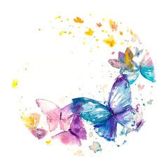 Beautiful watercolor butterfly on white paper background.