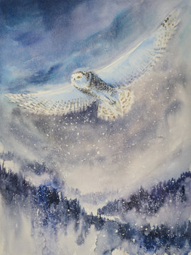 Winter.Snowy owl flying over mountains. Picture created with watercolors.