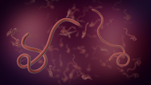 some ebola bacteria under the microscope (3d render)
