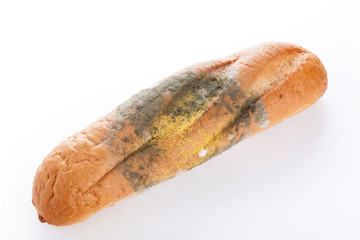 Mold On Bread