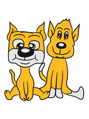 brothers 2 funny little sweet cute dogs couple team buddies