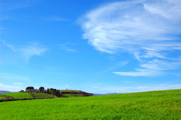 Fototapeta na wymiar Campo coltivato con delle nuvole nel cielo azzurro 