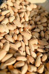 almond nut, kernel background