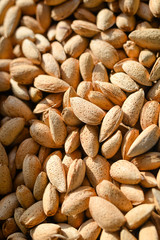Almond Market