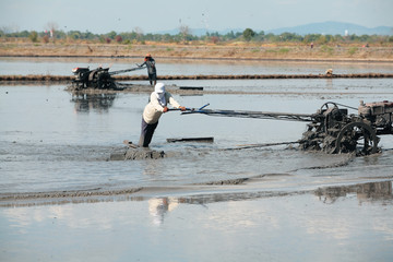 A man working with a handheld motor plow in a rice field from Th