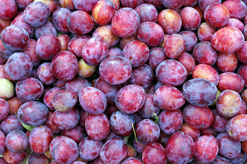 Background of the plurality of red plums fruit