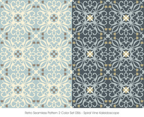 Retro Seamless Pattern 2 Color Set_086 Spiral Vine Kaleidoscope