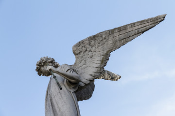 Angel old sculpture. Reсoleta cemetery , Argentina. 