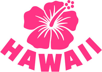Hawaii with hibsicus flower - obrazy, fototapety, plakaty