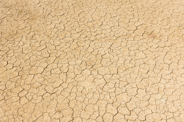 Dry land. Cracked ground background.