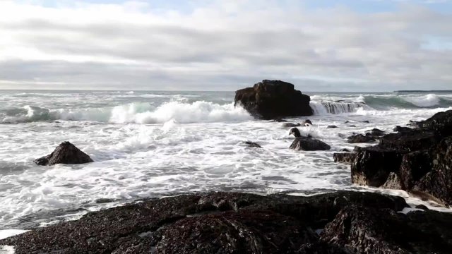 Waves crashing against a rocky beach, shot with a Canon 6D