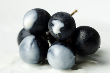 Fresh grape dip in yogurt