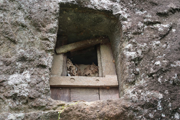 Fototapeta na wymiar Traditional cave grave carved in the rock at Lemo. Tana Toraja, South Sulawesi, Indonesia