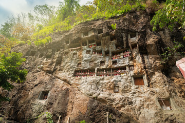 Lemo is cliffs burial site in Tana Toraja, South Sulawesi, Indonesia