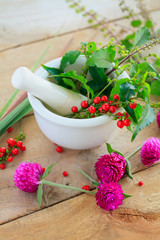 Fototapeta na wymiar Fresh herbs in the mortar, alternative medicine