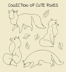 Collection of sketched foxes