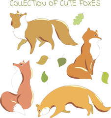 Collection of cute foxes for design