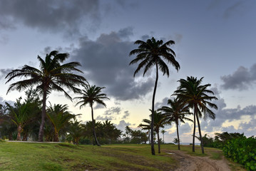Obraz na płótnie Canvas Beach and Rocks off San Juan, Puerto Rico