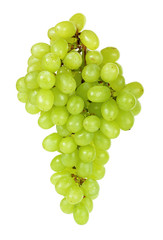 grape isolated on a white background