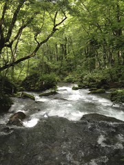 奥入瀬渓流 子ノ口