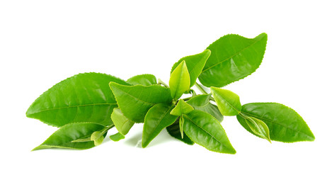 green tea leaf isolated on white background