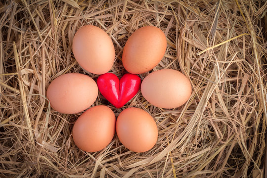 fresh eggs in a nest  with heart object