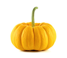 pumpkin isolated on the white background