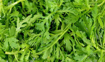 Garland chrysanthemum  on the white background