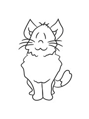 sweet cute kitten fluffy fur