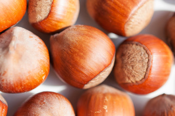 Hazelnuts close up.