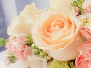 Soft rose