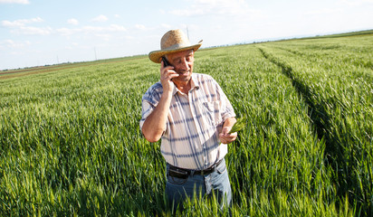 Naklejka na ściany i meble Farmer standing in a wheat field and talking on phone