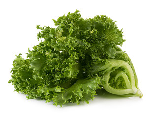 Lettuce isolated on white background