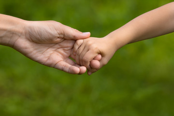 adult holding a hand of child, closeup