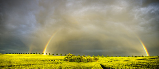 Obrazy na Plexi  Tęcza nad polem po wiosennej ulewie