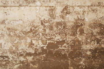texture of wooden formwork stamped on a grunge concrete wall as background