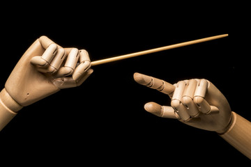 The hands of a conductor. One hand holds the baton, the other hand indicates the nuances. On black...