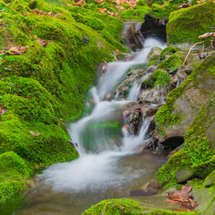 Forest brook waterfall between mossy rocks